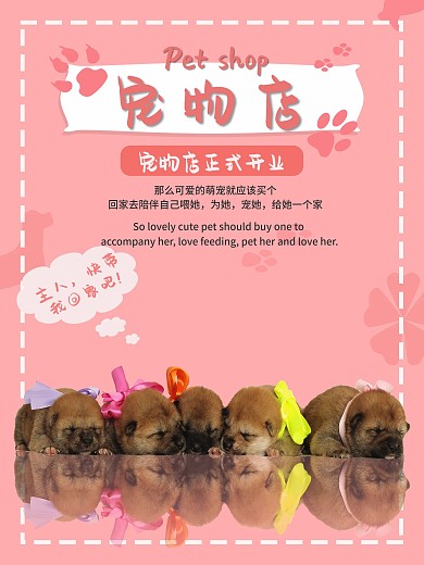宠物店宠物店宣传