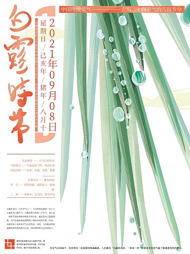 原创手绘文艺清新白露节气海报