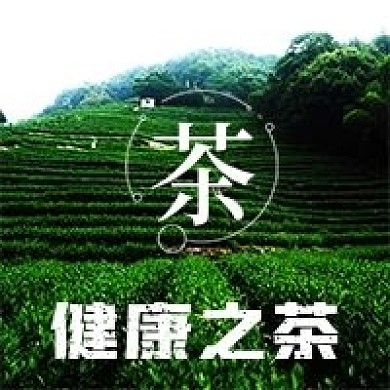 简约健康之茶介绍