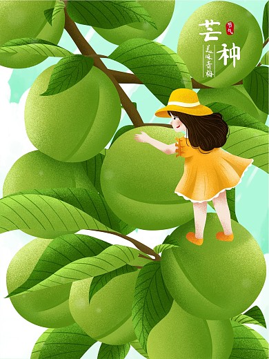 二十四节气芒种美味青梅插画