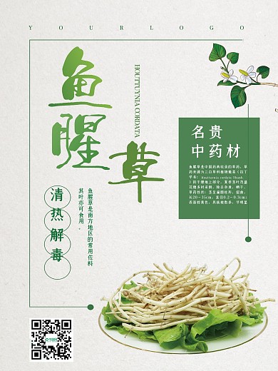 简约大气鱼腥草中药药材海报