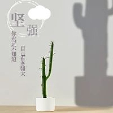 简约清新坚强心情