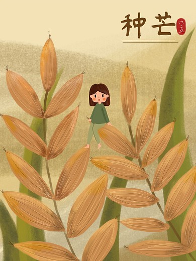 24节气芒种插画