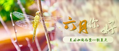 蜻蜓夏天六月你好背景图公众号封面