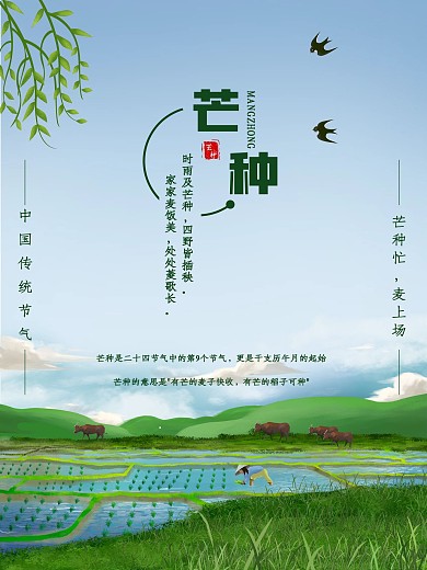 二十四节气之芒种海报