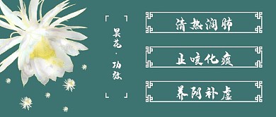 简约清新昙花功效