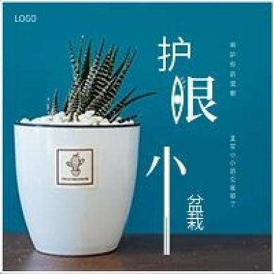 极简清新盆栽植物公众号次图