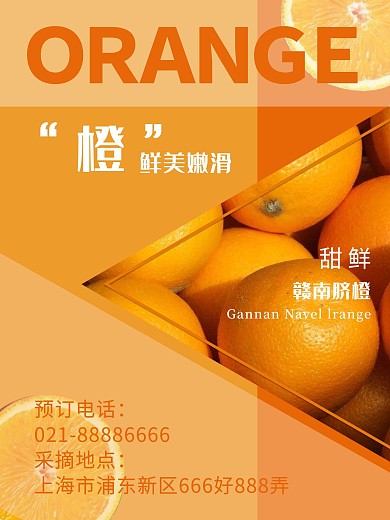 赣南脐橙水果促销海报