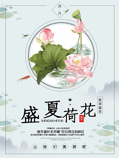 盛夏荷韵海报