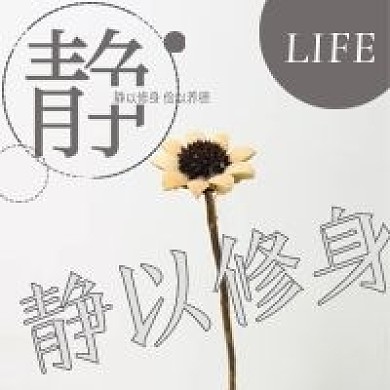 简约清新修身养性宣传