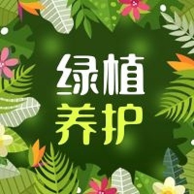 公众号次图手绘花卉绿叶绿植养护休闲生活