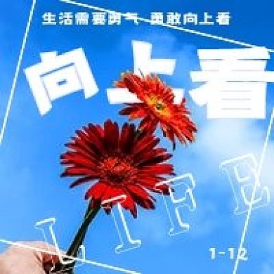极简清新向上看励志日签