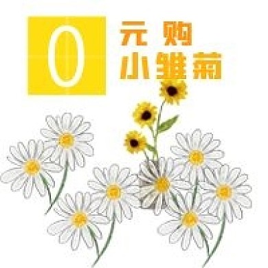 简约清新小雏菊促销