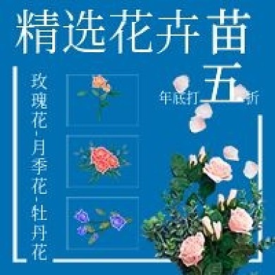 清新精选花卉苗宣传