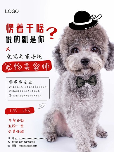 宠物店招聘人员海报