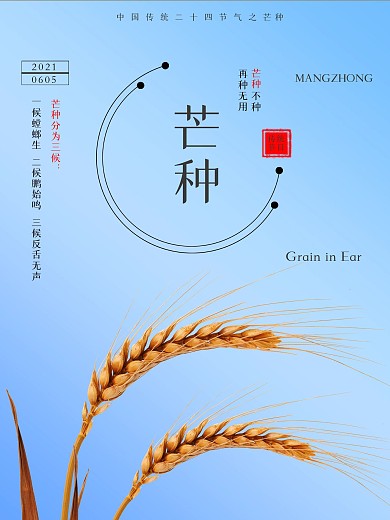 二十四节气之芒种蓝色清新海报