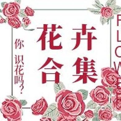 简约清新花卉合集宣传