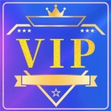 简约商务会员VIP