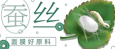 简约清新蚕丝宣传