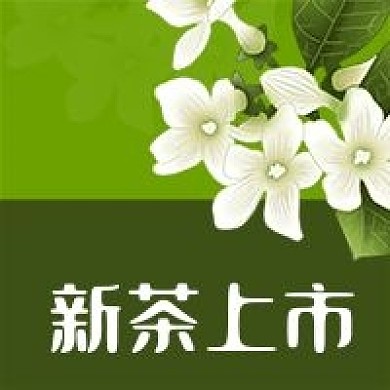 公众号次图绿色新茶叶上市茶花绿茶红茶促销