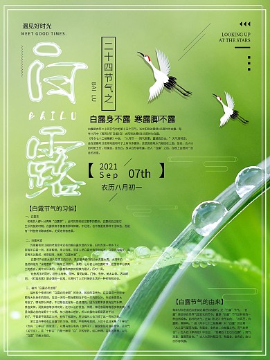 二十四节气白露海报