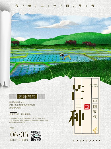 撕纸风创意海报芒种二十四节气