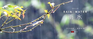 雨水二十四节气雨滴