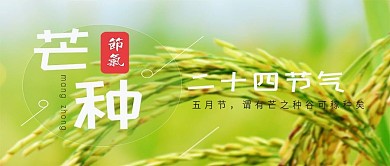 芒种二十四节气微信首图