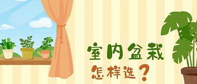 公众号封面手绘房间窗户植物盆栽园艺生活