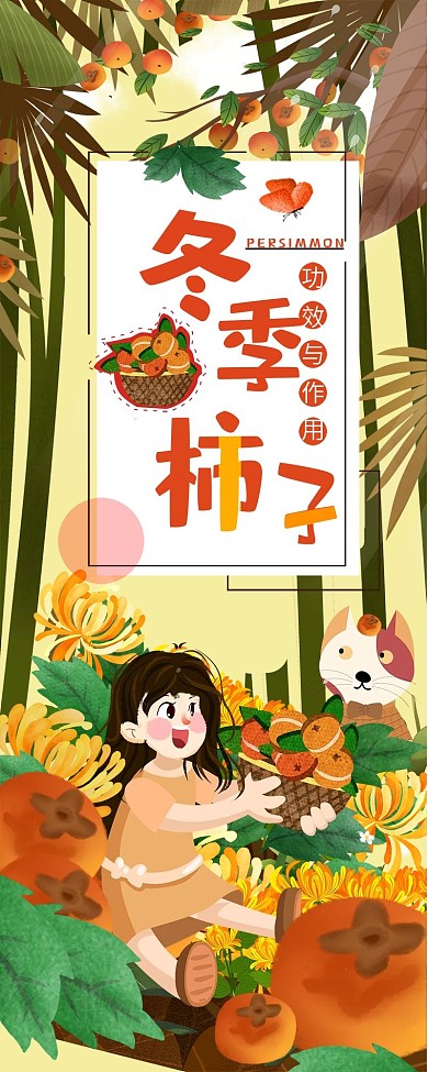 柿子功效信息长图