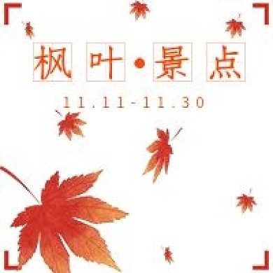 简约秋冬枫叶景点