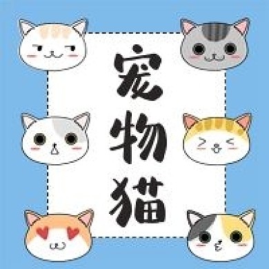宠物猫咪手绘卡通公众号次图