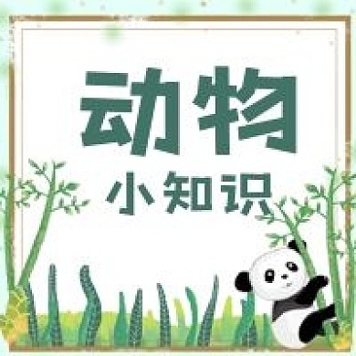公众号次图手绘植物熊猫动物知识学习儿童