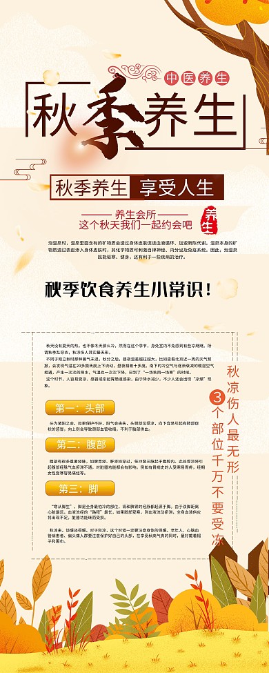 简约秋季养生小知识内容型展架