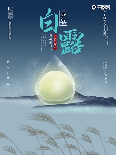 白露白露海报芦苇露珠水滴