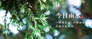 雨水节气公众号封面2