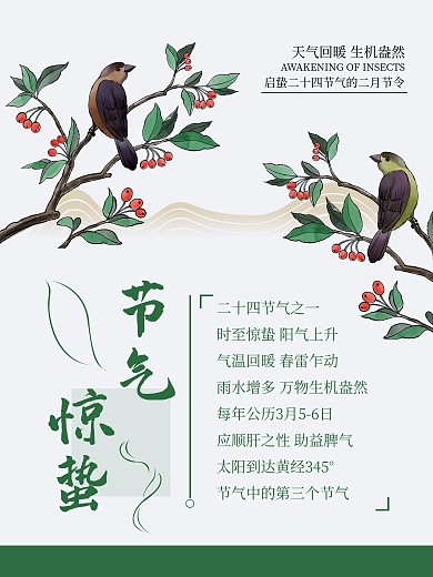 清新惊蛰二十四节气花鸟宣传海报