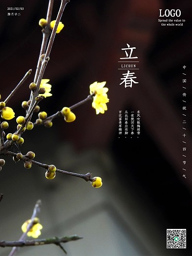 二十四节气立春梅花腊梅背景壁纸海报图