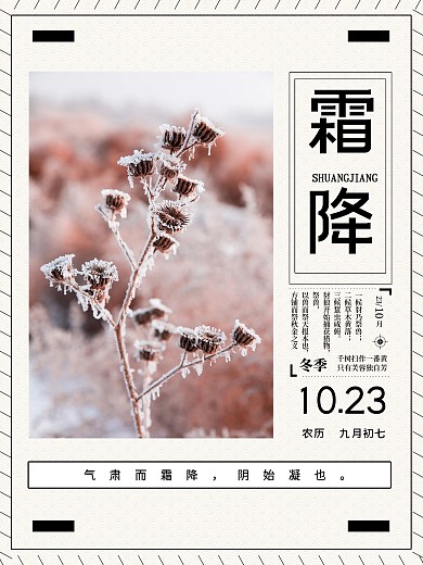 霜降二十四节气海报