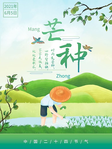芒种 二十四节气 中国传统节气 插秧