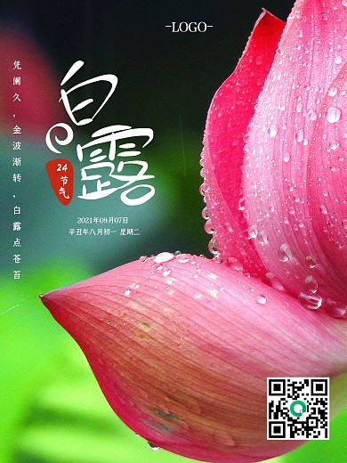 白露二十四节气之一荷花莲花露珠水珠海报