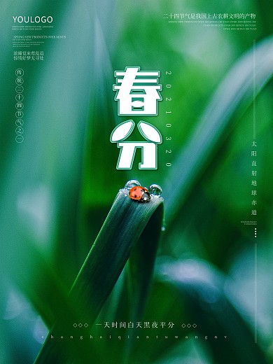 春分节气海报绿色春天背景七星瓢虫露水素材