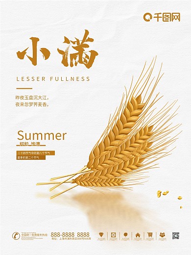 二十四节气小满节气宣传海报