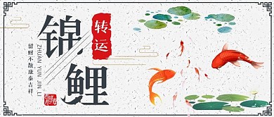 转运锦鲤公众号首图清新风首图荷叶红鲤