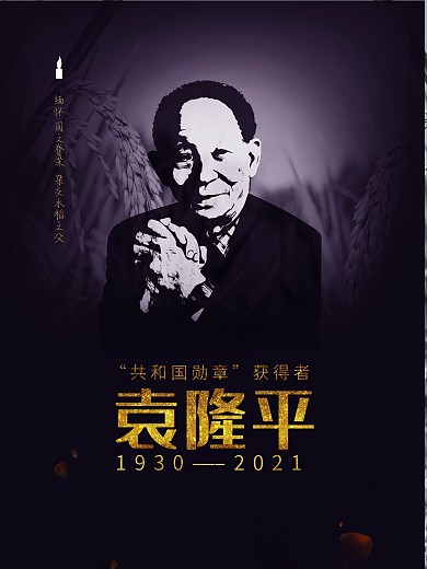 缅怀袁隆平老先生