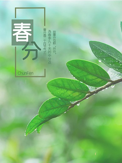 小清新春分节气海报设计
