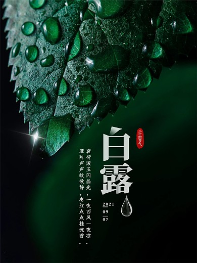 中国传统二十四节气白露创意绿叶海报