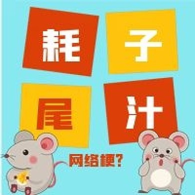 简约耗子尾汁网络梗