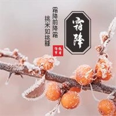 霜降二十四节气气候微信公众号配图次图封面