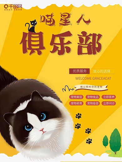 宠物店医院宣传海报